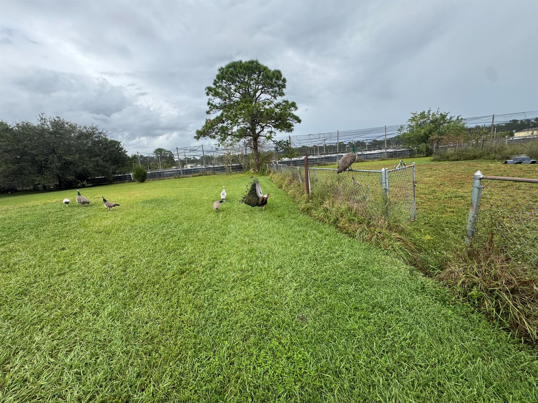 MONTURA RANCH UNREC SEC 2 - Residential