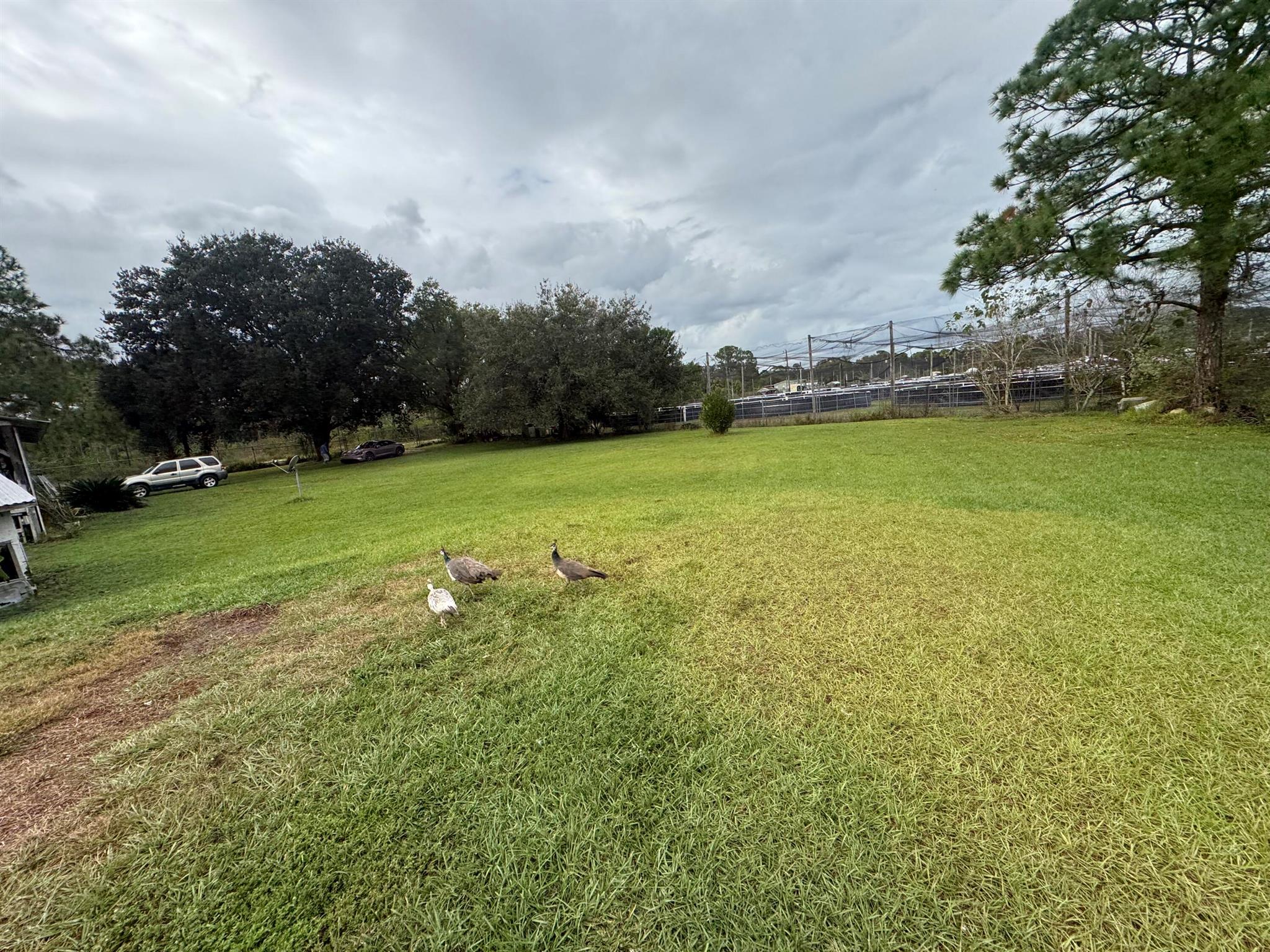 MONTURA RANCH UNREC SEC 2 - Residential