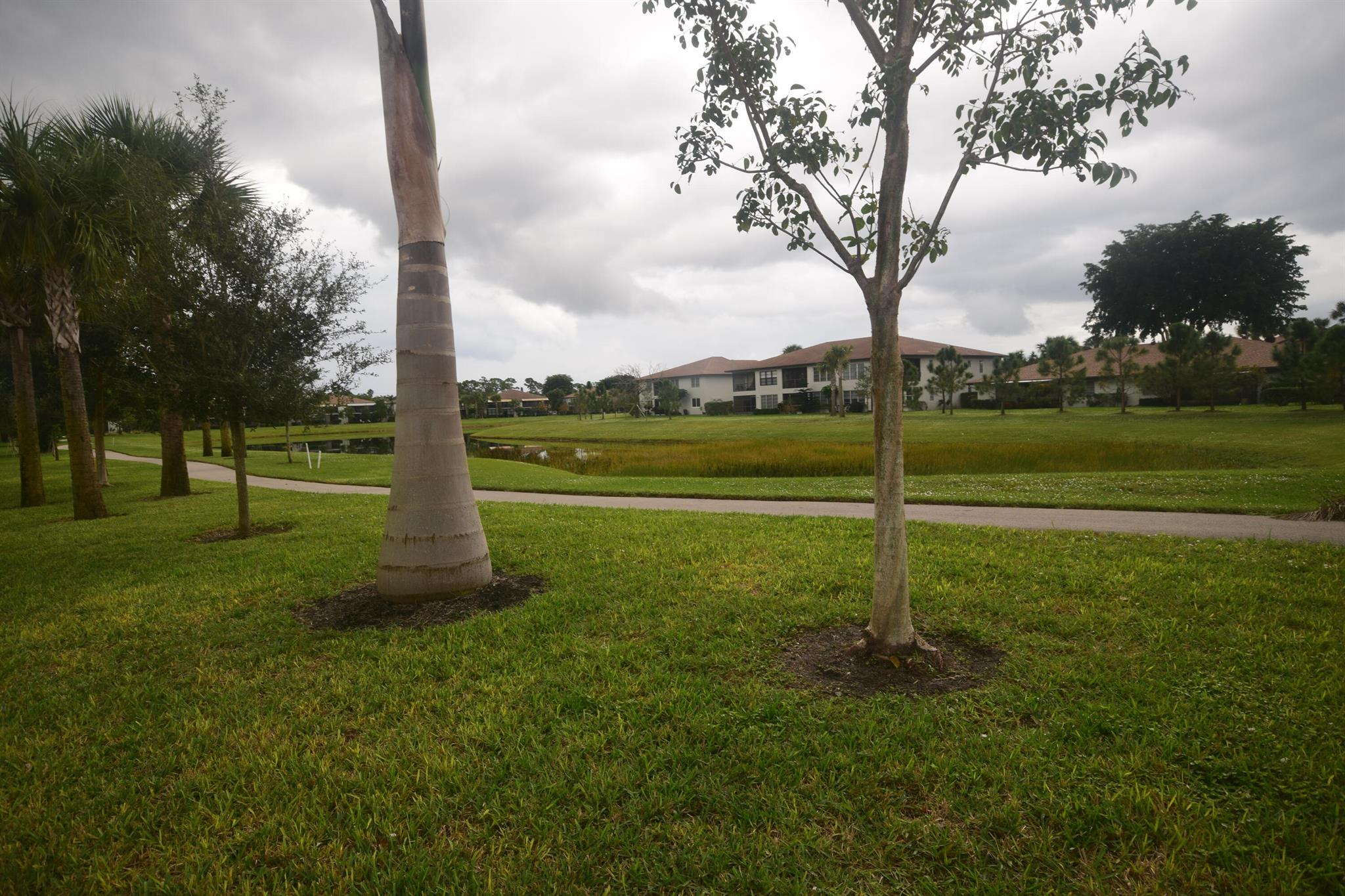 Palm Greens 2 - Residential Lease