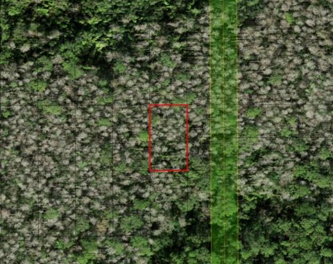 0 Holopaw Groves Road St Cloud FL 34772