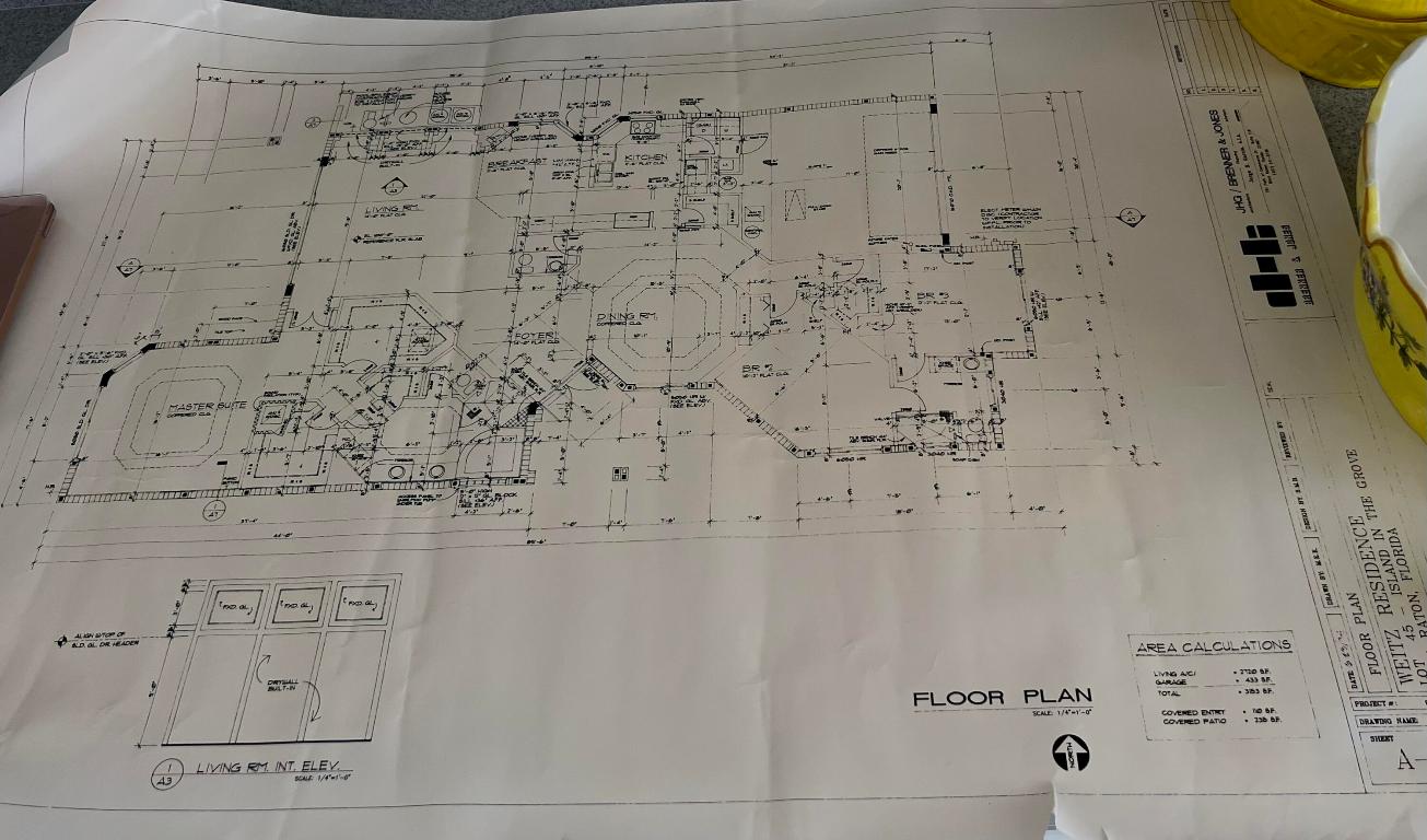 ISLAND IN THE GROVE - Residential