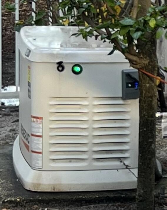 ISLAND IN THE GROVE - Residential