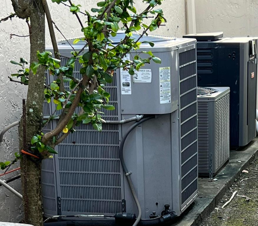 ISLAND IN THE GROVE - Residential