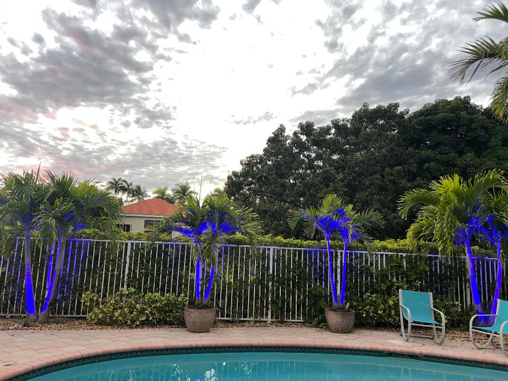 ISLAND IN THE GROVE - Residential