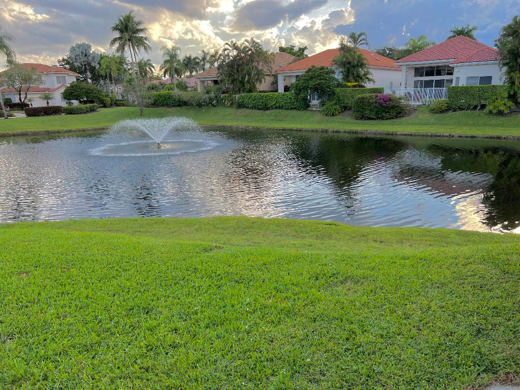 ISLAND IN THE GROVE - Residential