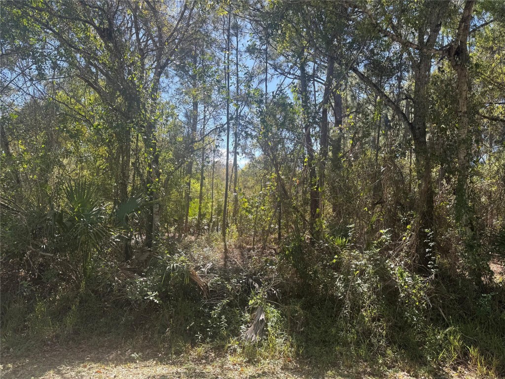 Tropical Gardens - Land