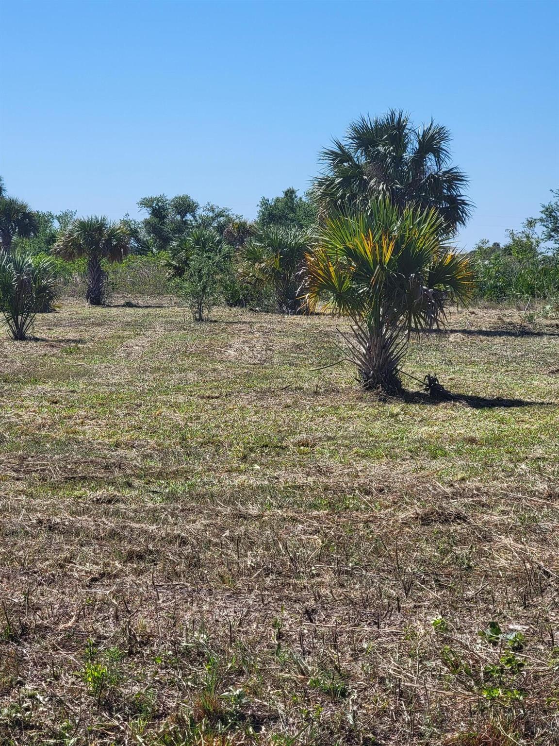 Cleared lot with plenty of potential.