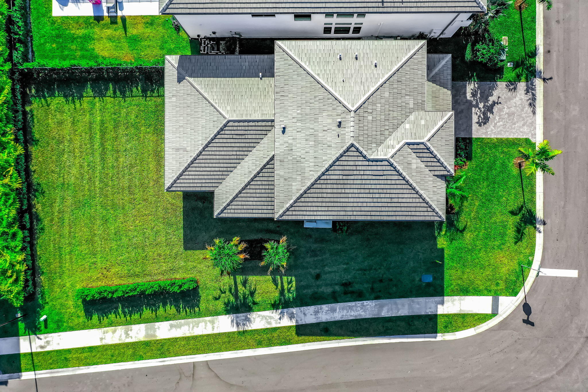 Lotus Palm - Residential