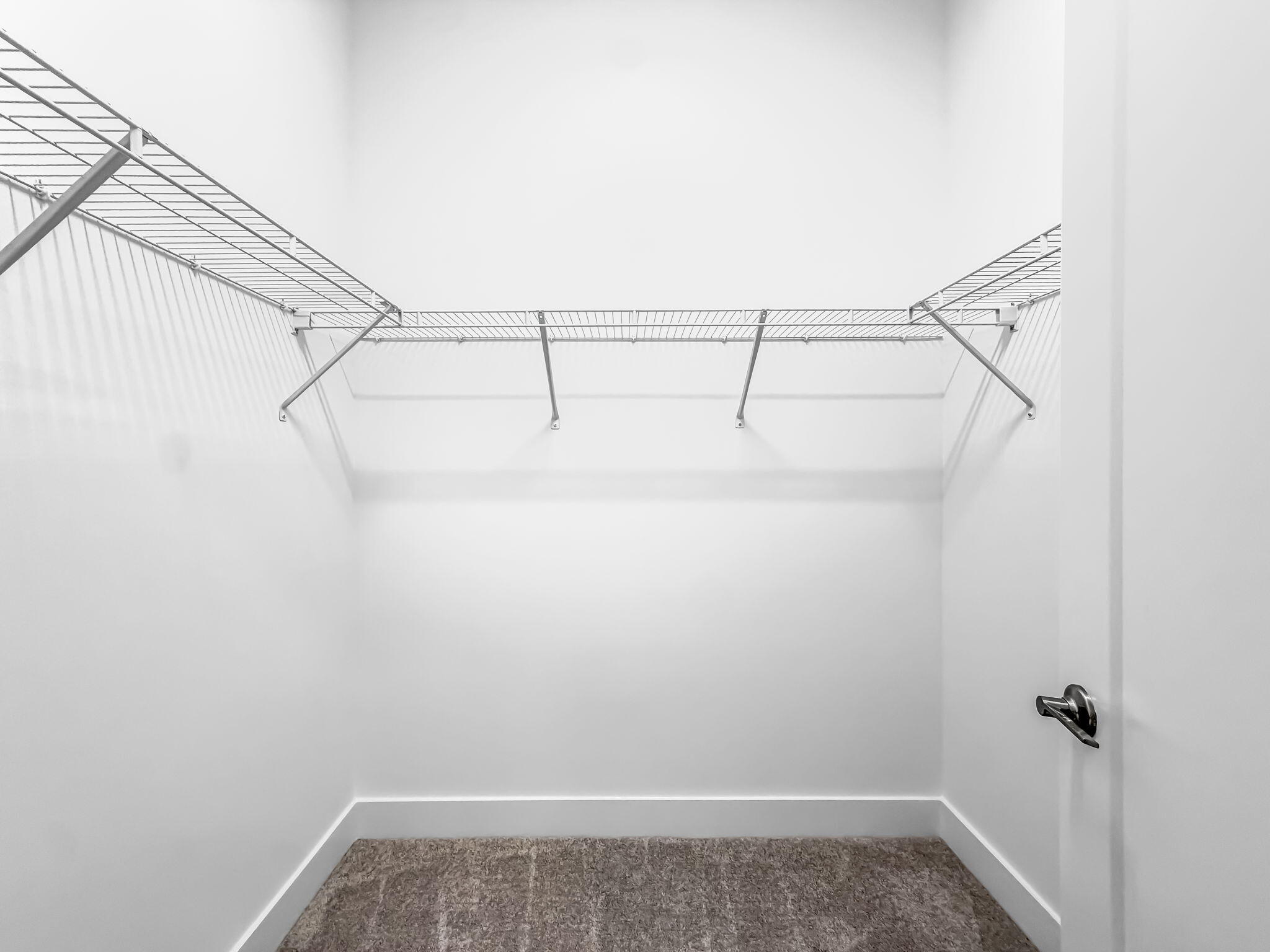 Lotus Palm - Residential