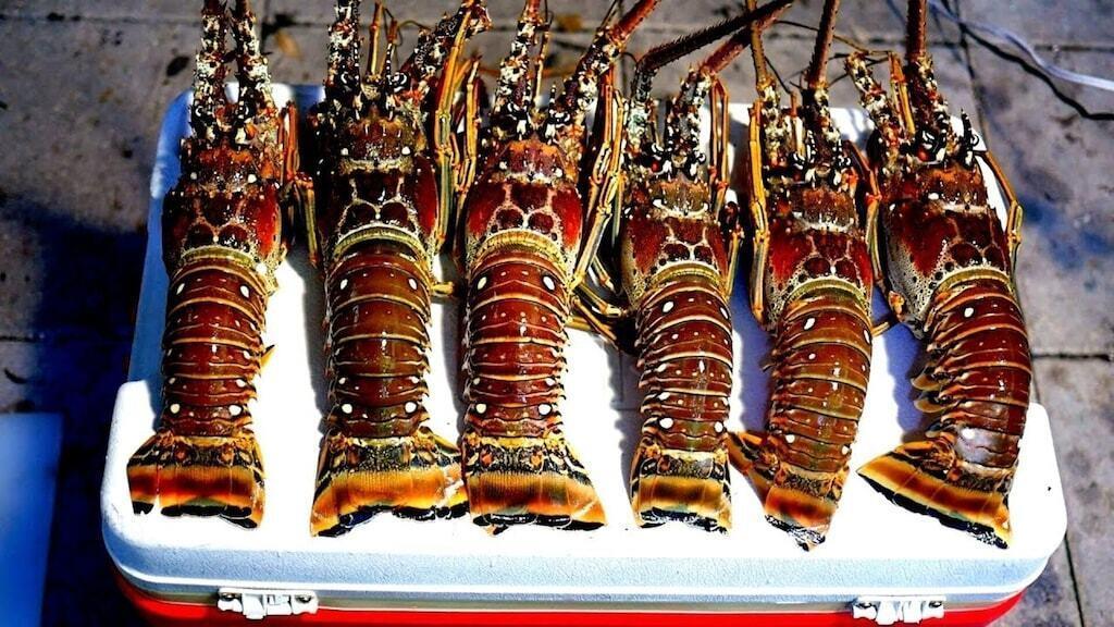 Anglers at Sombrero - Residential