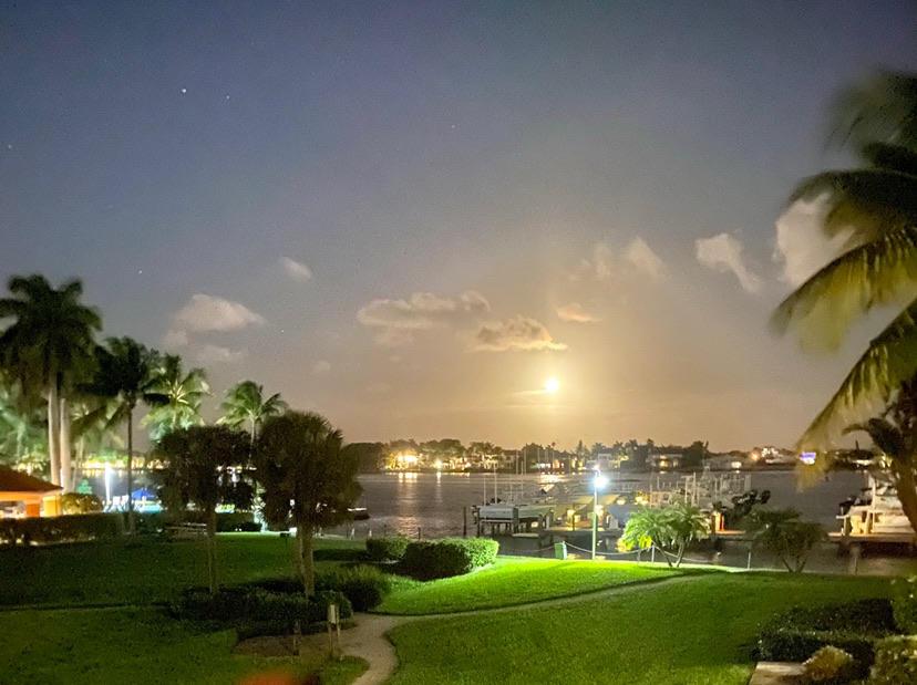 The Yacht Club on the Intracoastal - Residential