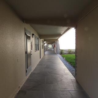 445 Brittany J 445