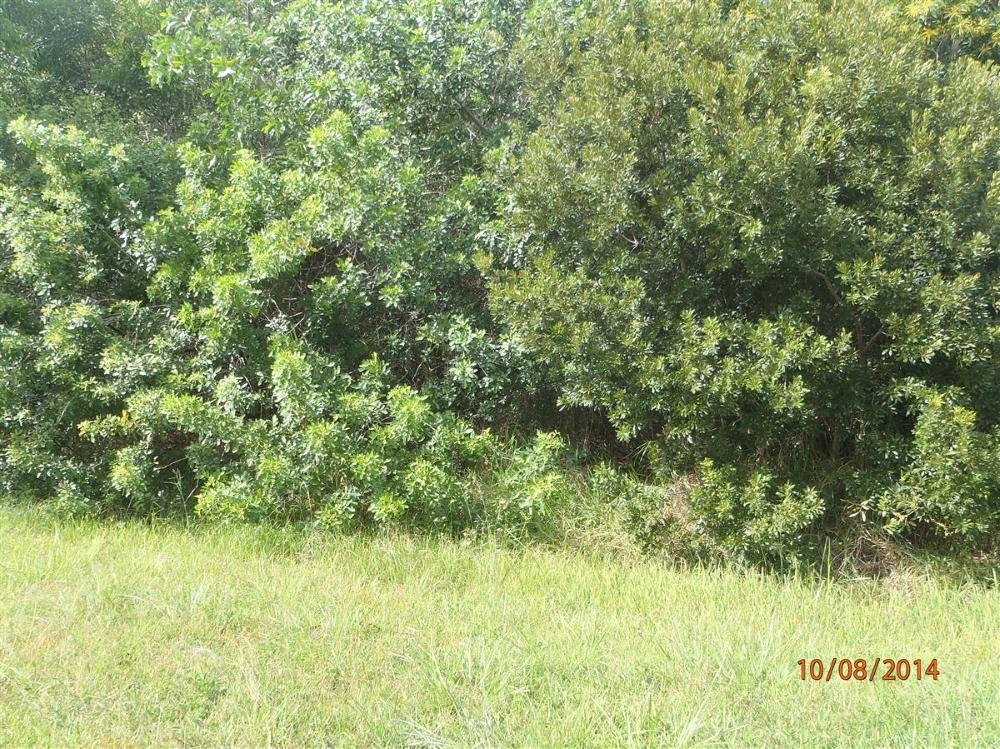 PORT ST LUCIE SECTION 43 - Land