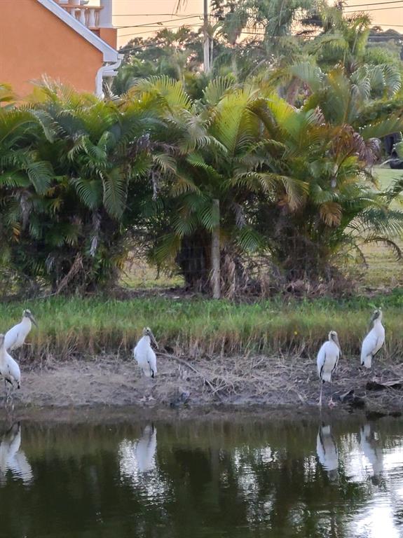 The Acreage - Residential