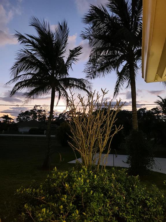 The Acreage - Residential