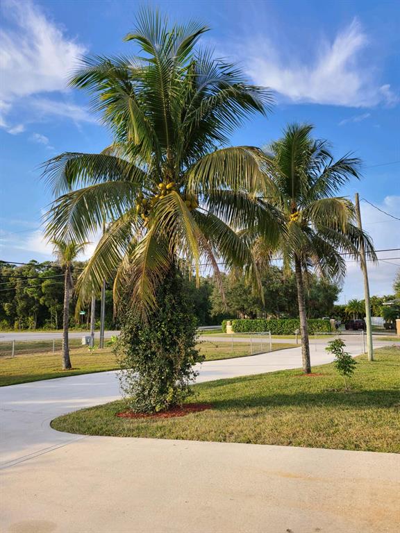 The Acreage - Residential