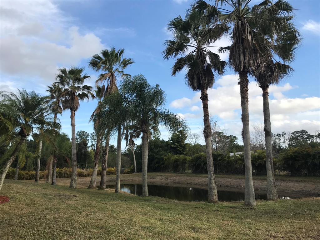 The Acreage - Residential