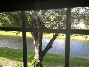 Palm Garden Apts Cond S 4 - Residential Lease