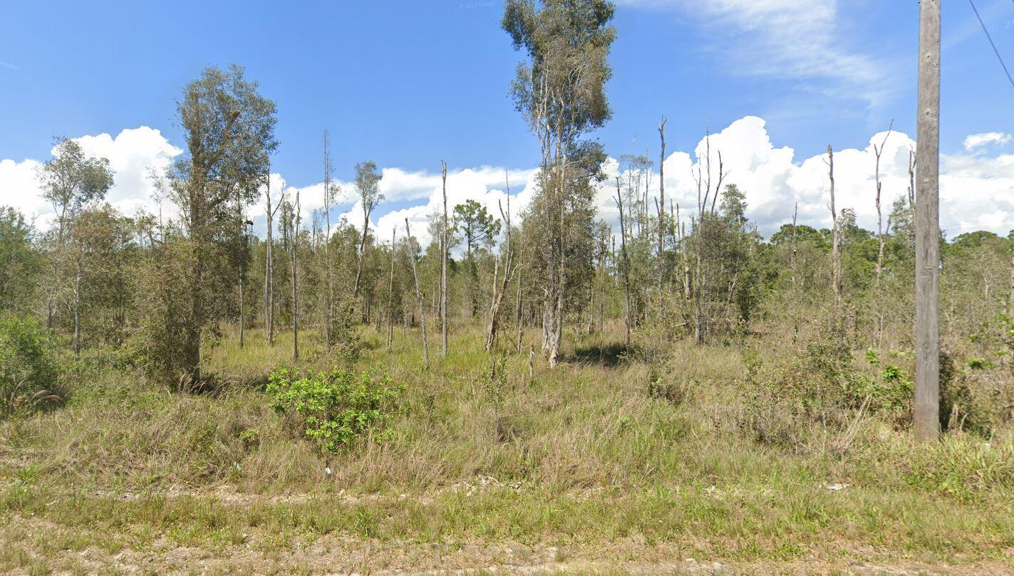 Commercial Opportunity! Prime C-2 zoned vacant land located at 3130 Meadow Rd, Lehigh Acres, FL. This versatile commercial lot offers excellent potential for retail, office, or service-based businesses. Situated in a growing area with easy access to SR-82, this property benefits from high visibility and steady traffic flow. Ideal for investors or developers looking to capitalize on Lehigh Acres' expanding commercial market. Drive by and envision your next project today!