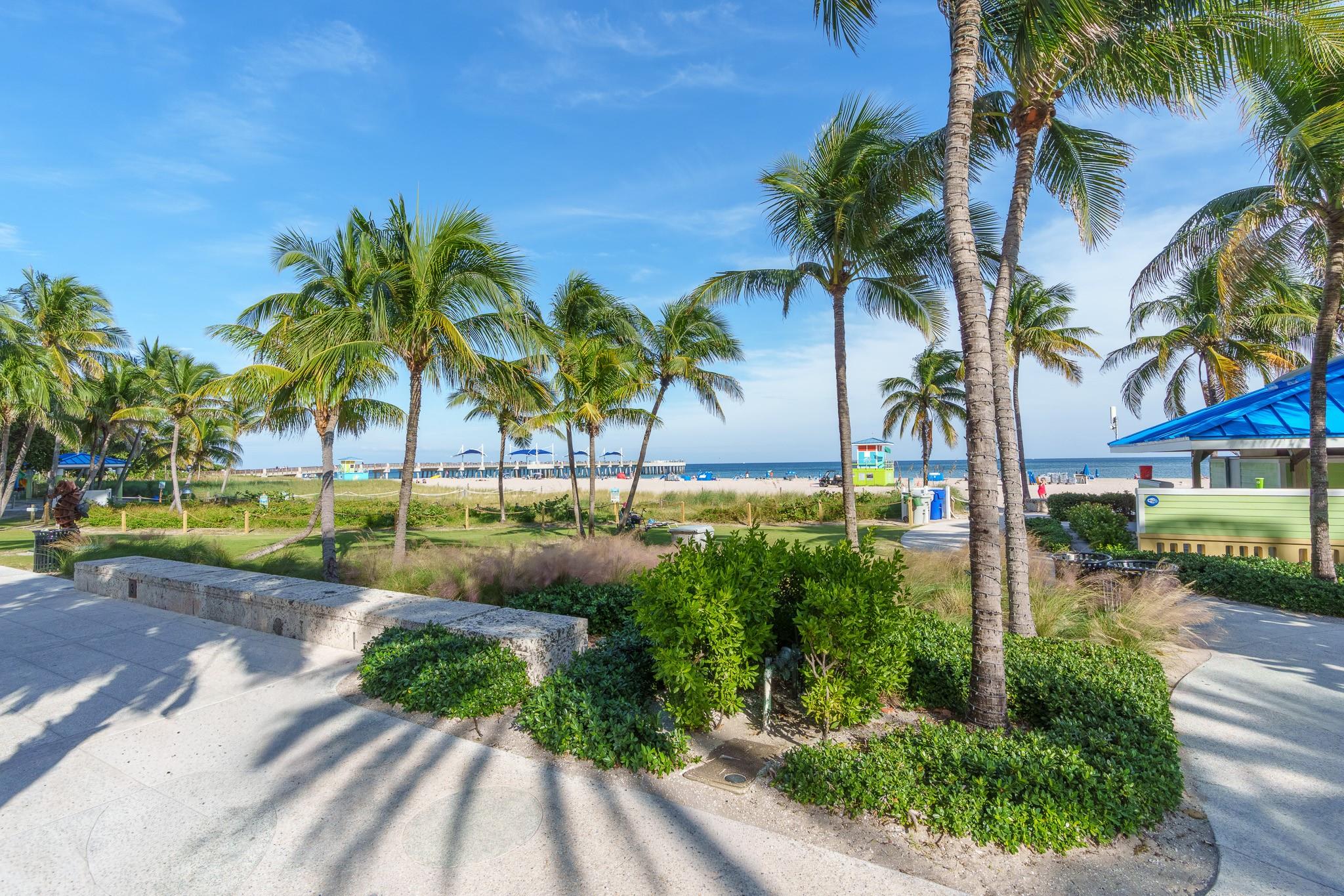 Sea Monarch - Residential