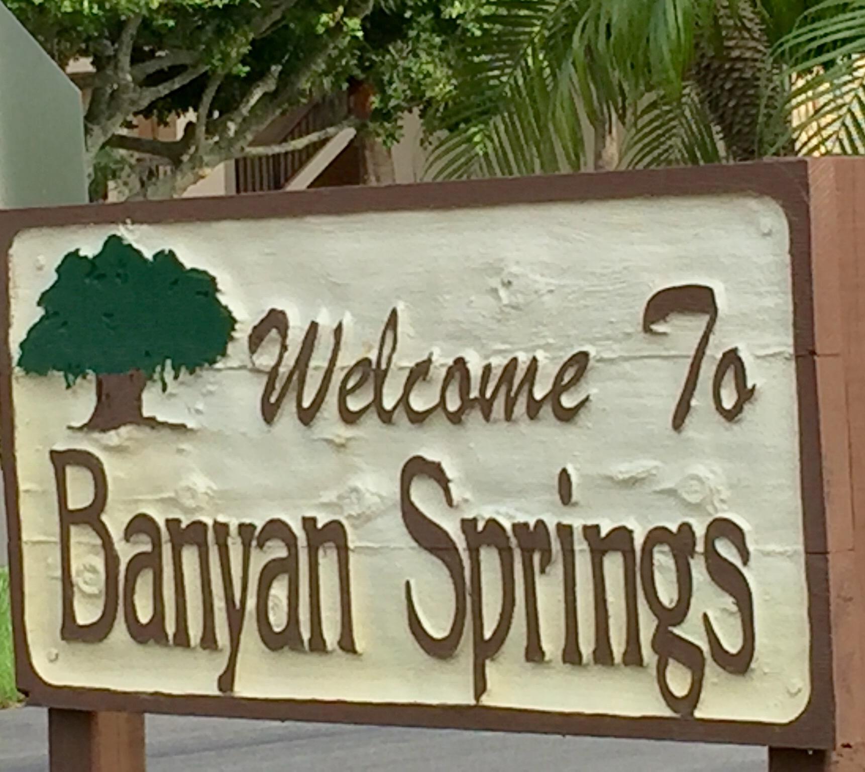 LAKESIDE COND NO 2 OF BANYAN SPRINGS DECL FILED 8- - Residential