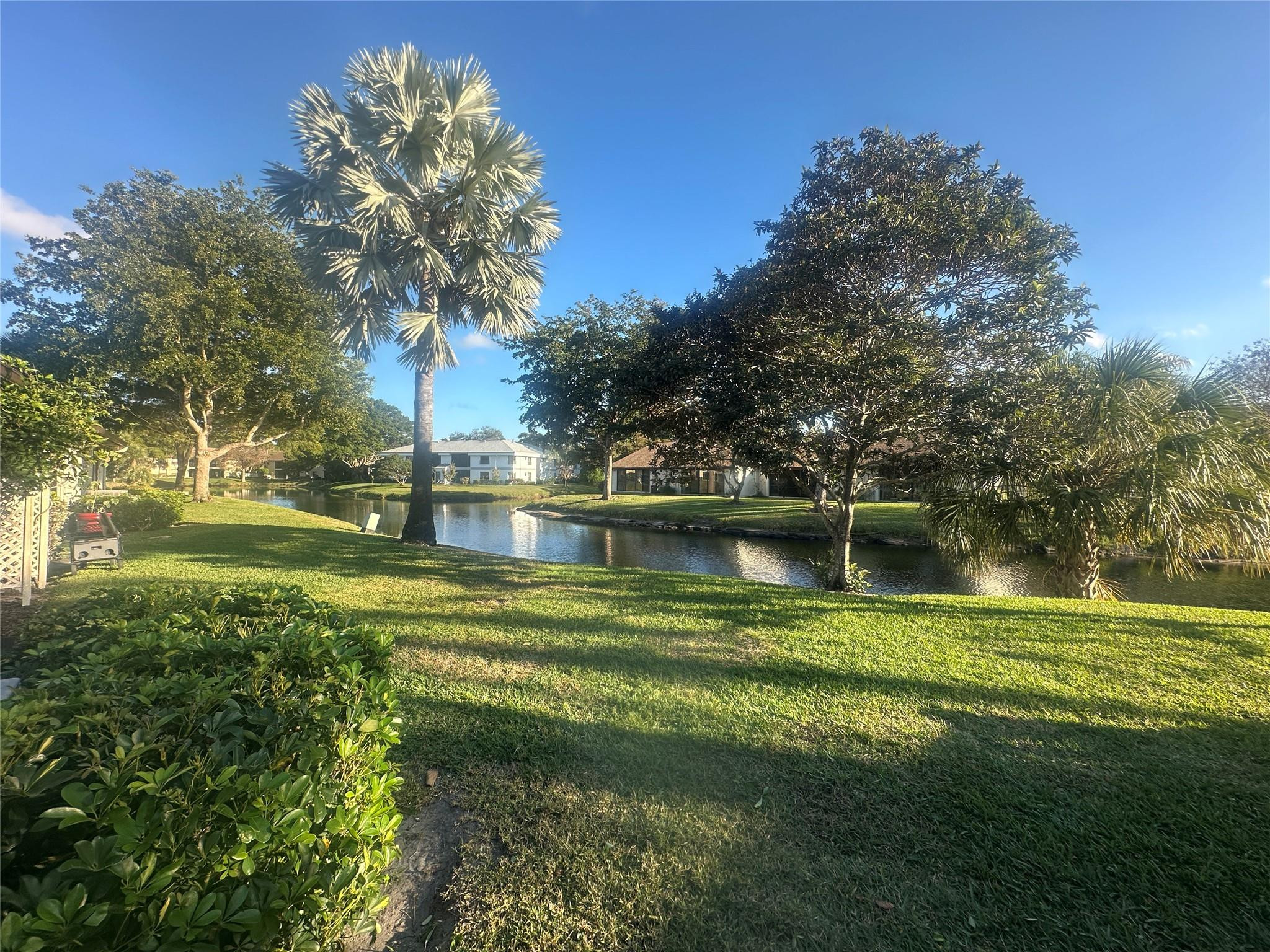 Ginger Tree - Residential