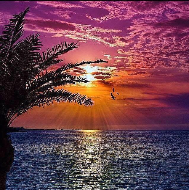 CORAL LAKES - Residential