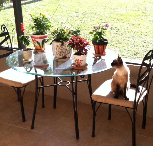 CORAL LAKES - Residential