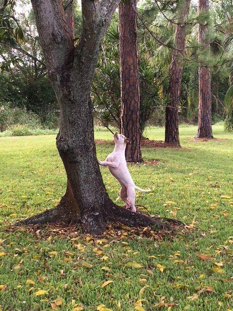 CORAL LAKES - Residential