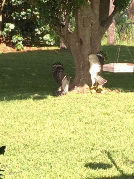 CORAL LAKES - Residential