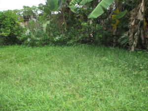 Pine Cone Est - Residential