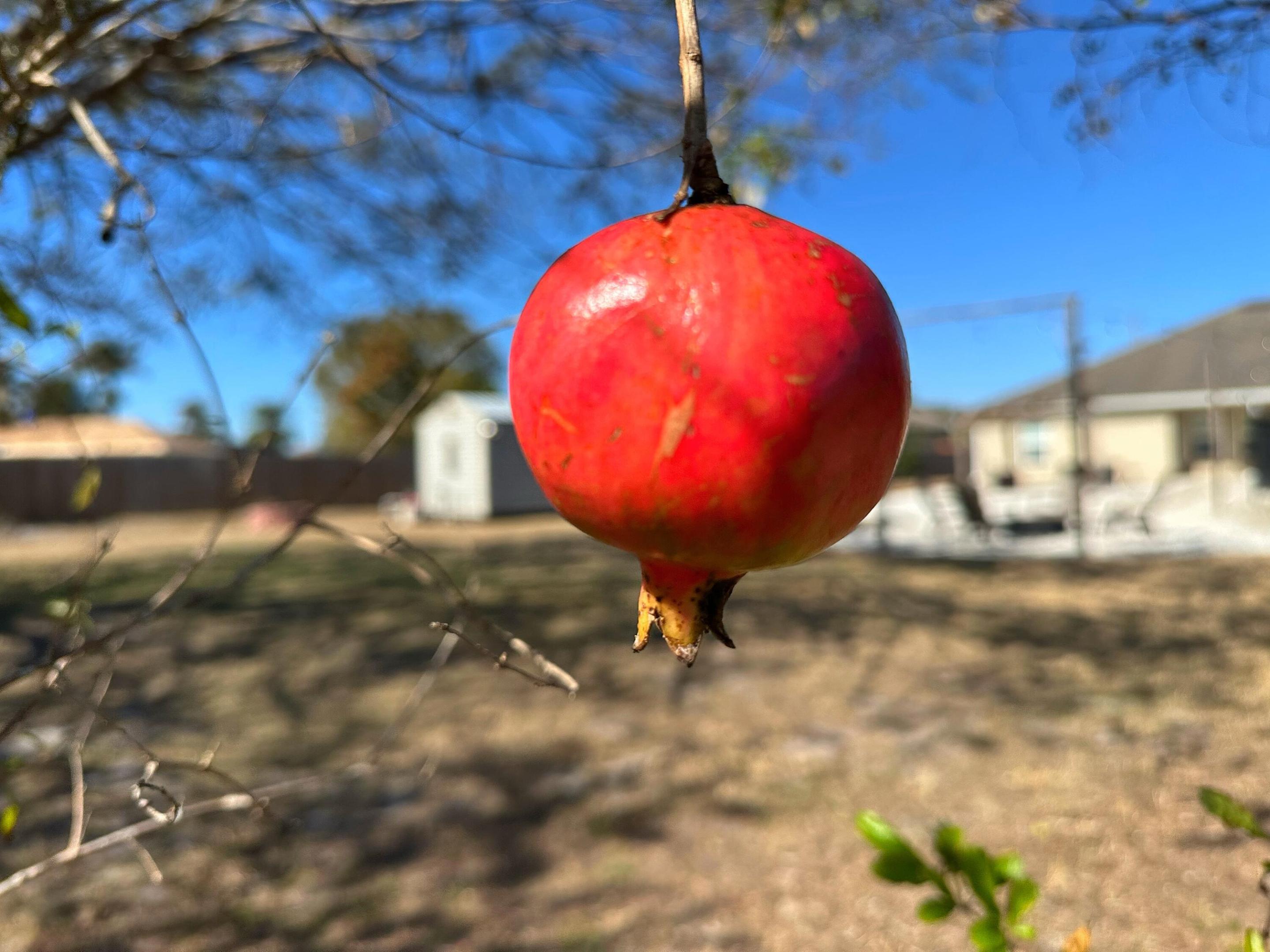 PORT ST LUCIE SECTION 33 - Residential