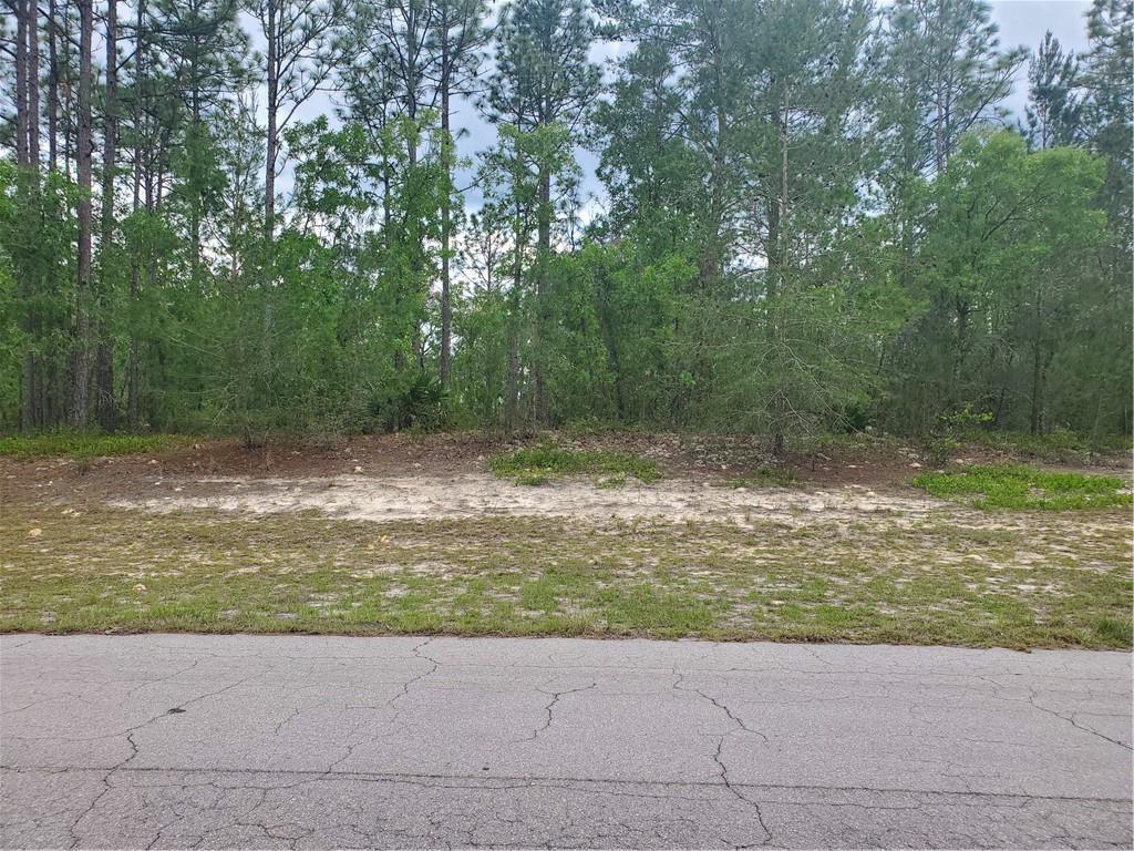 Marion Oaks - Land