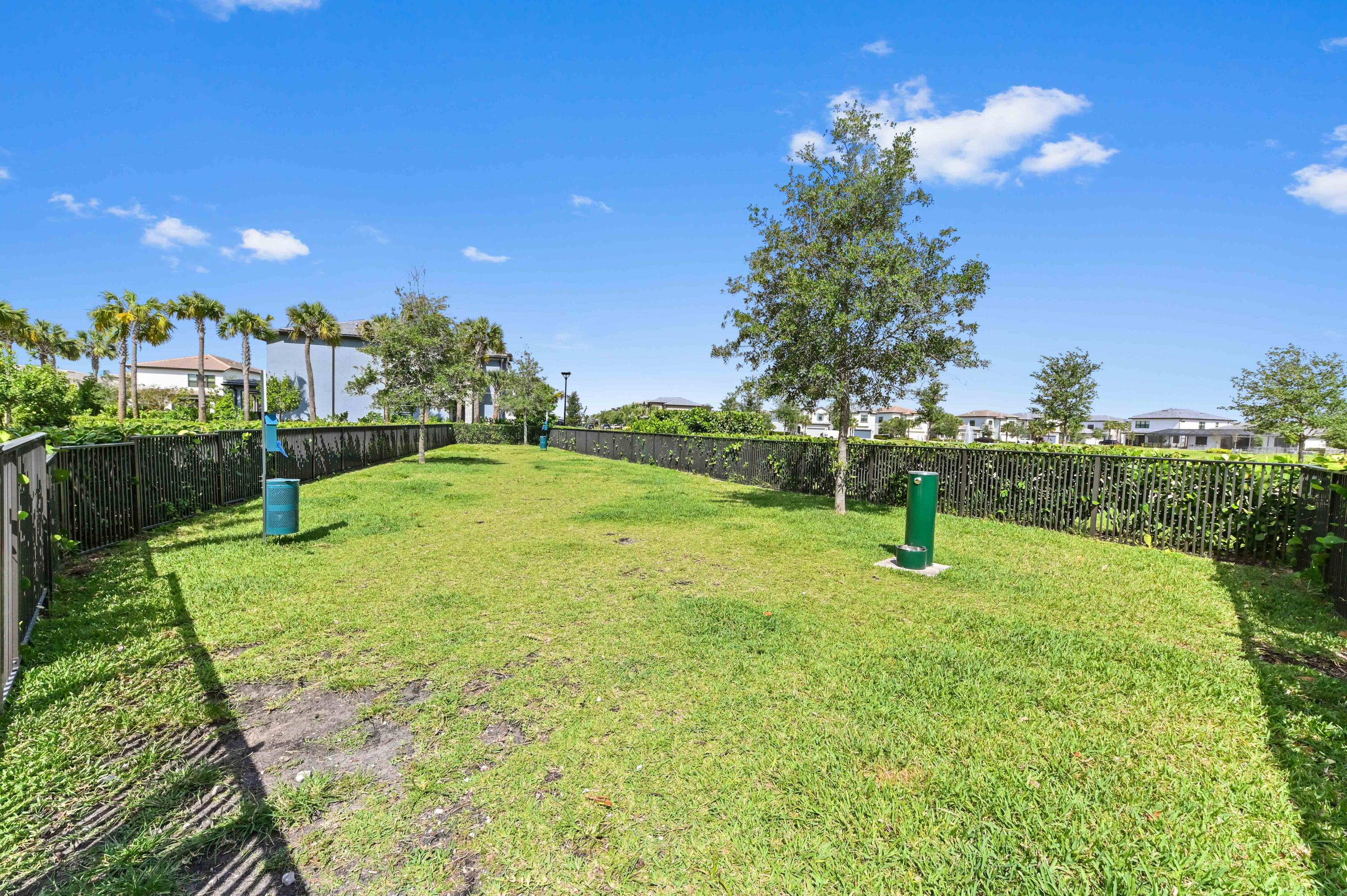 OAK TREE - Residential