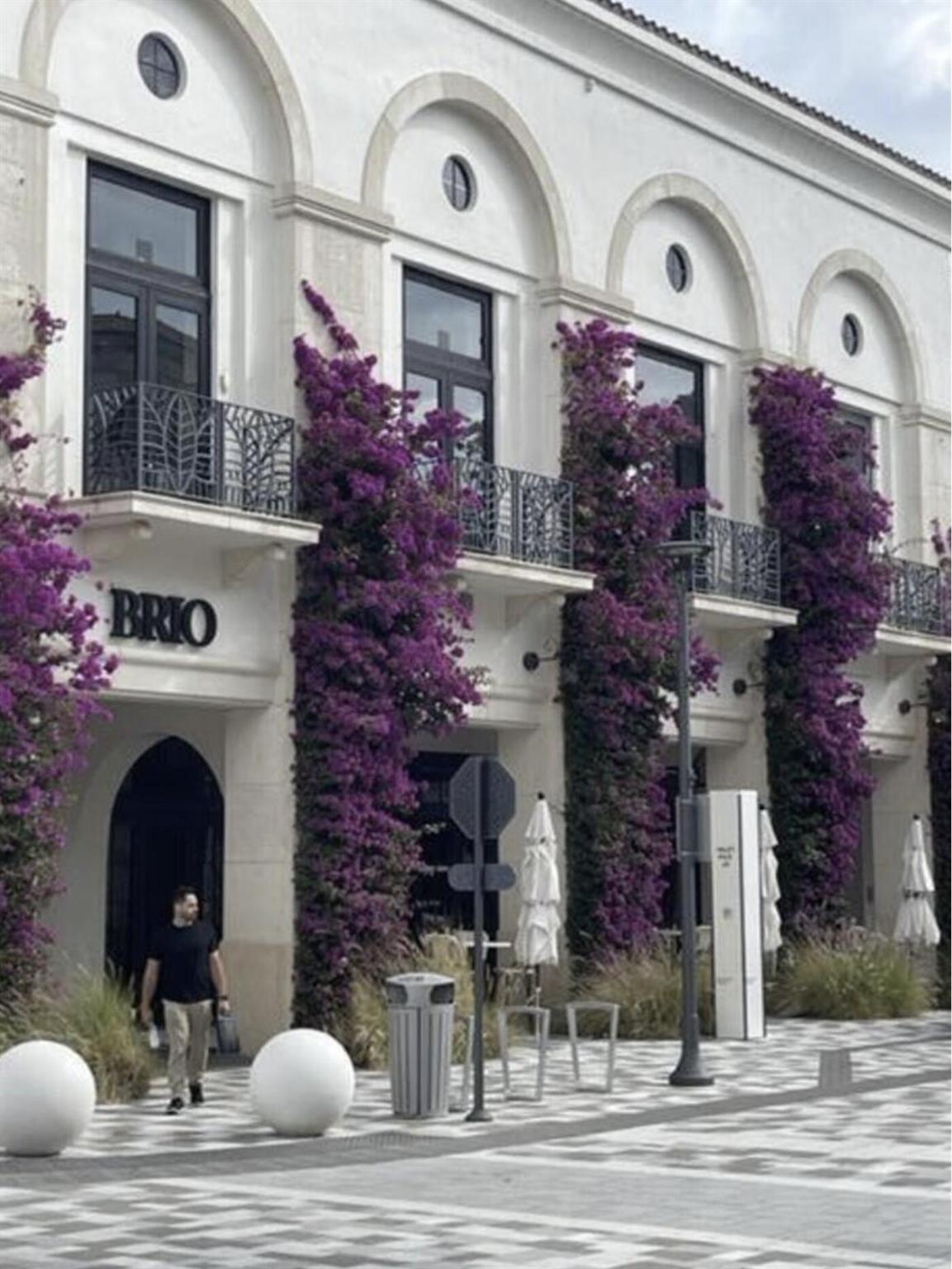 WHITEHALL CONDO OF THE LA - Residential Lease