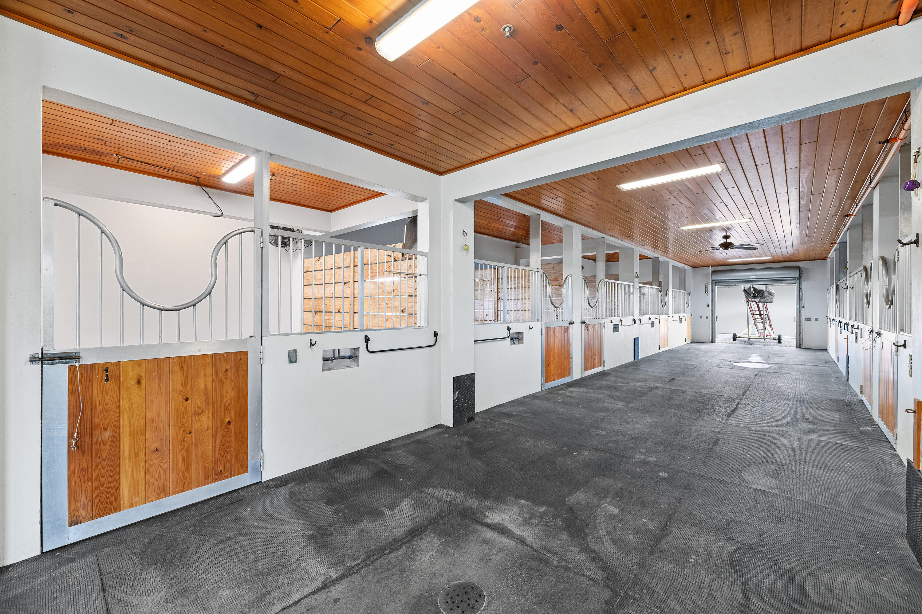 SADDLE TRAIL PARK OF WELLINGTON - Residential