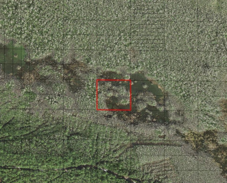 HP171 HOLOPAW - Land