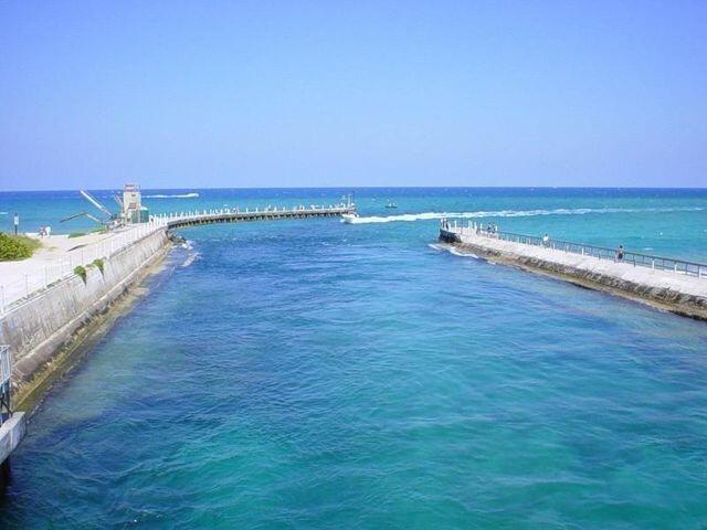 FLORAL PARK - Residential