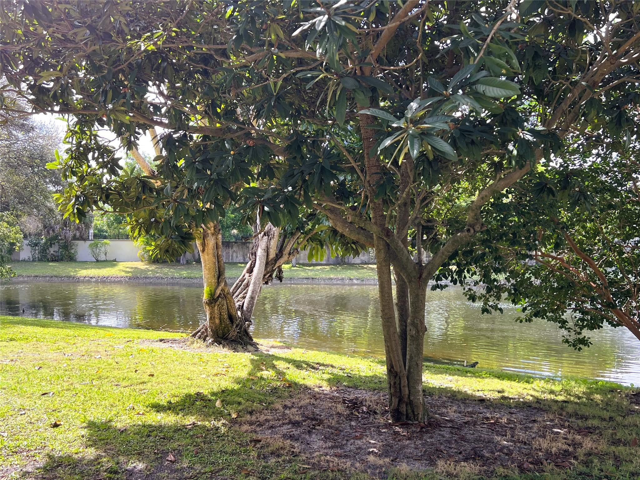 WYNMOOR - Residential