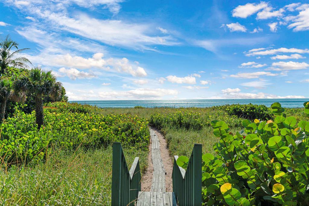 GEDNEY VS PIERSON - Land