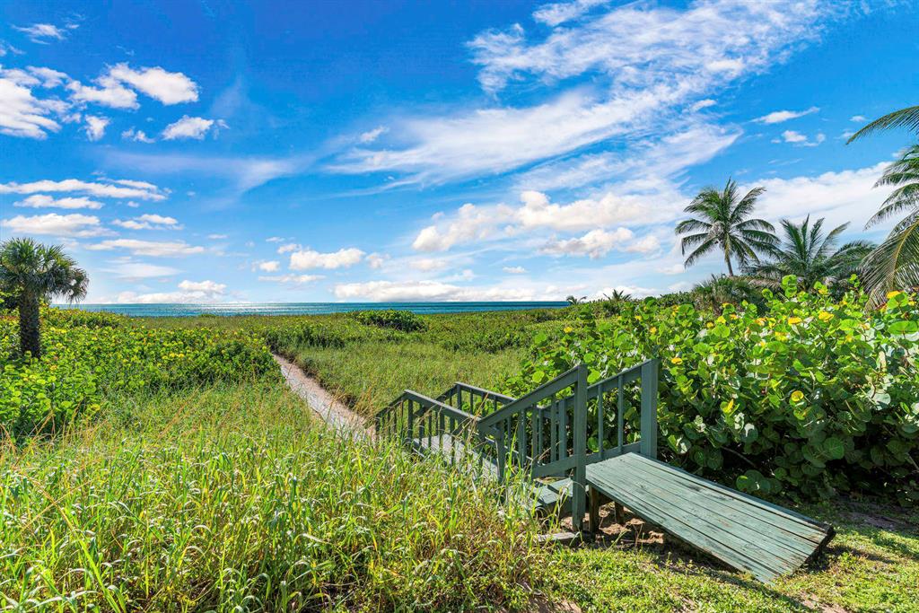 GEDNEY VS PIERSON - Land