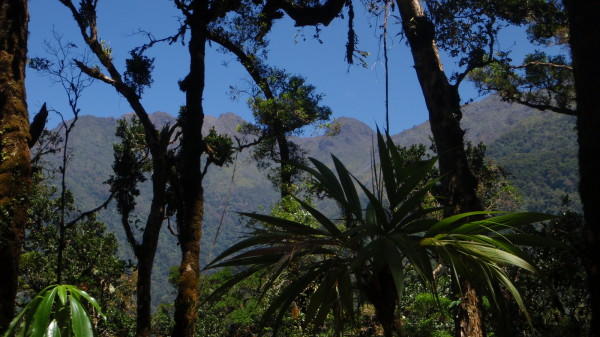 Perez Zeledon, Costa Rica - Land