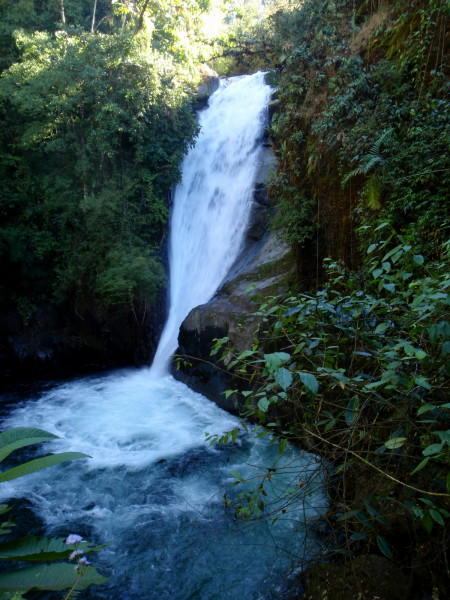 Perez Zeledon, Costa Rica - Land