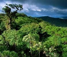 Perez Zeledon, Costa Rica - Land