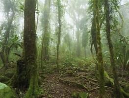 Perez Zeledon, Costa Rica - Land