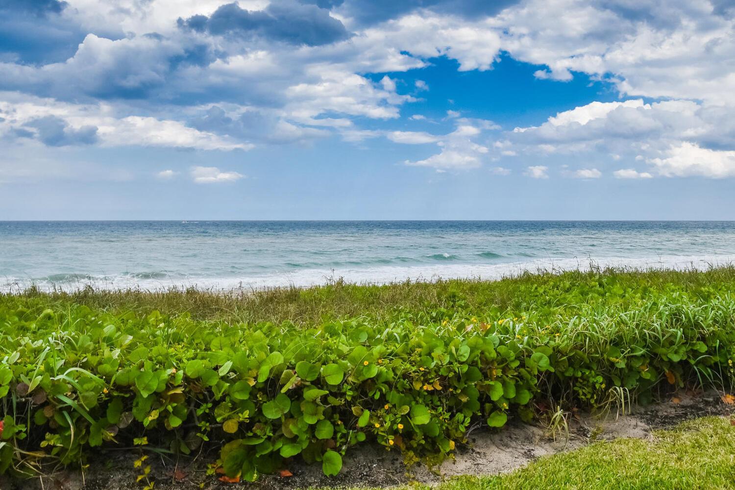 BEACH POINT CONDO - Residential