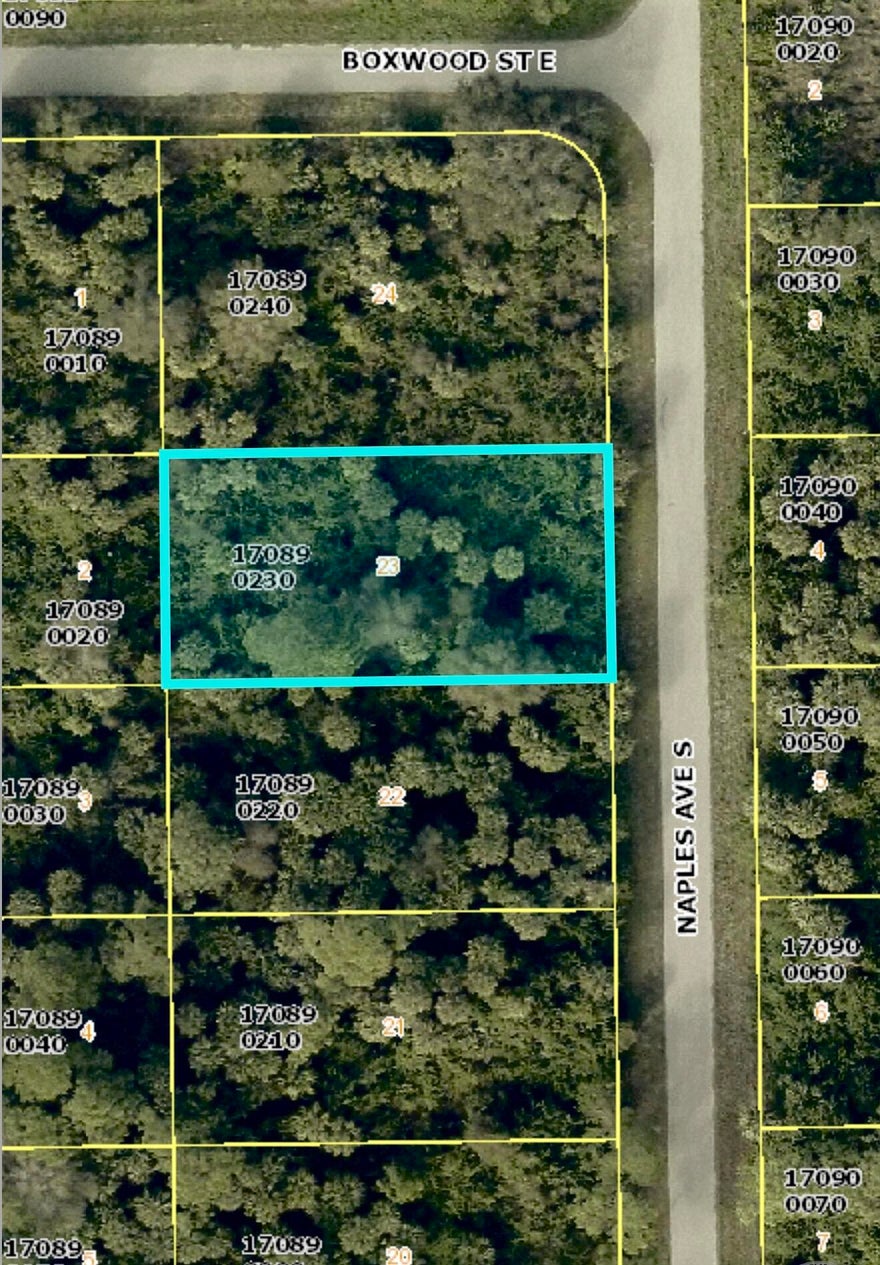 Build or invest in this 0.27 acre residential lot in a growing Lehigh Acres location. No HOA with plenty of space for your future home or long term investment. Convenient access to major roads, shopping, dining, and everyday essentials while enjoying privacy and expansion potential. Buyer to conduct their own due diligence and verify all information.