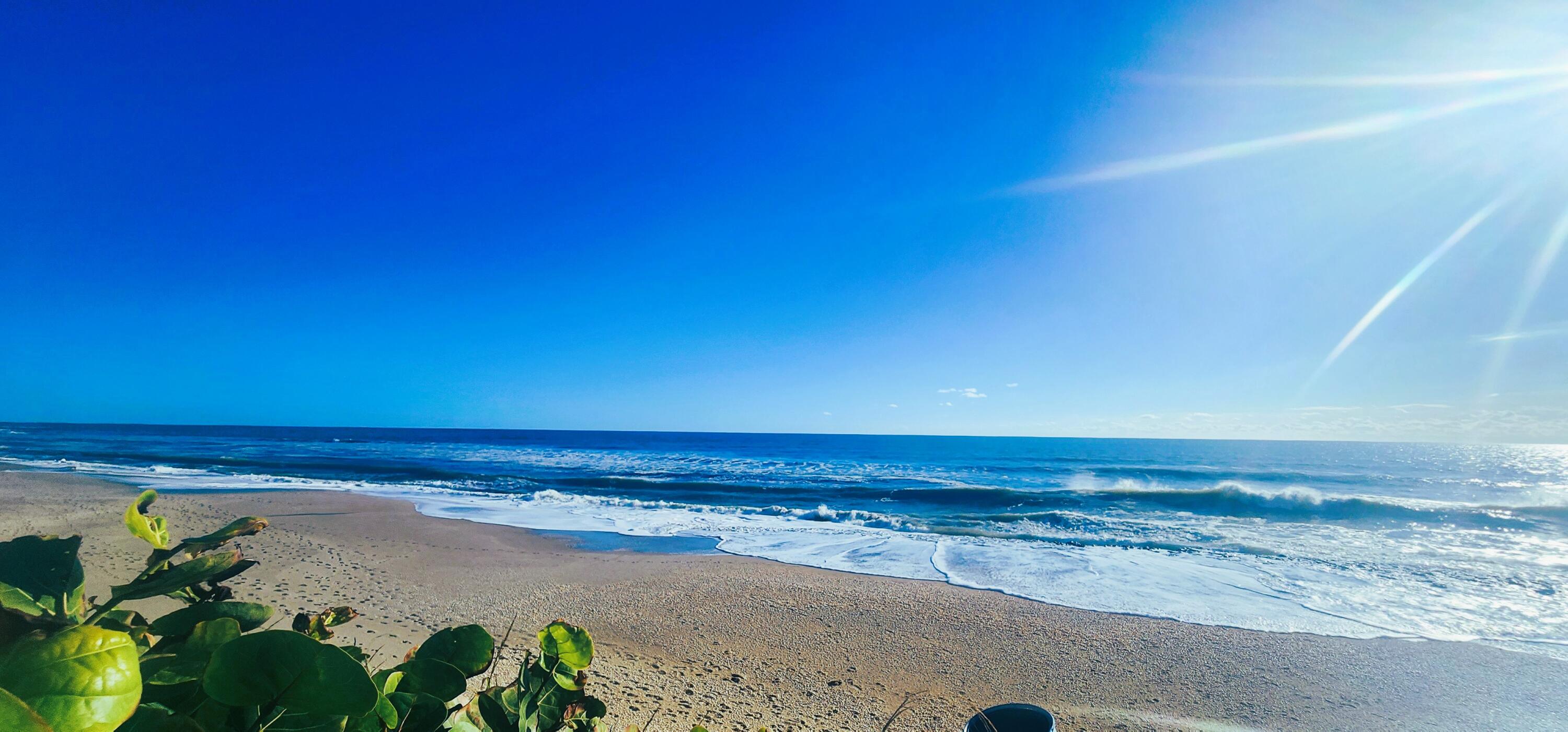 4200 N OCEAN Drive 1-1101