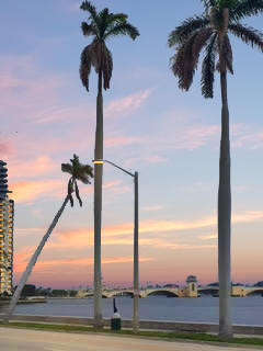 GORGEOUS West Palm Beach condo in the highly sought after Viking Arms condominium building! Available now for an annual rental in the perfect WPB location. New stainless steel appliances, tile flooring throughout, and screened in balcony! Contact us quickly for the opportunity to rent this perfect WBP condo! Won't last long.