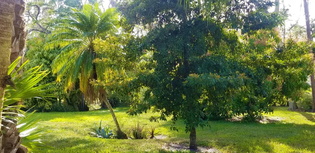 LOXAHATCHEE - Residential